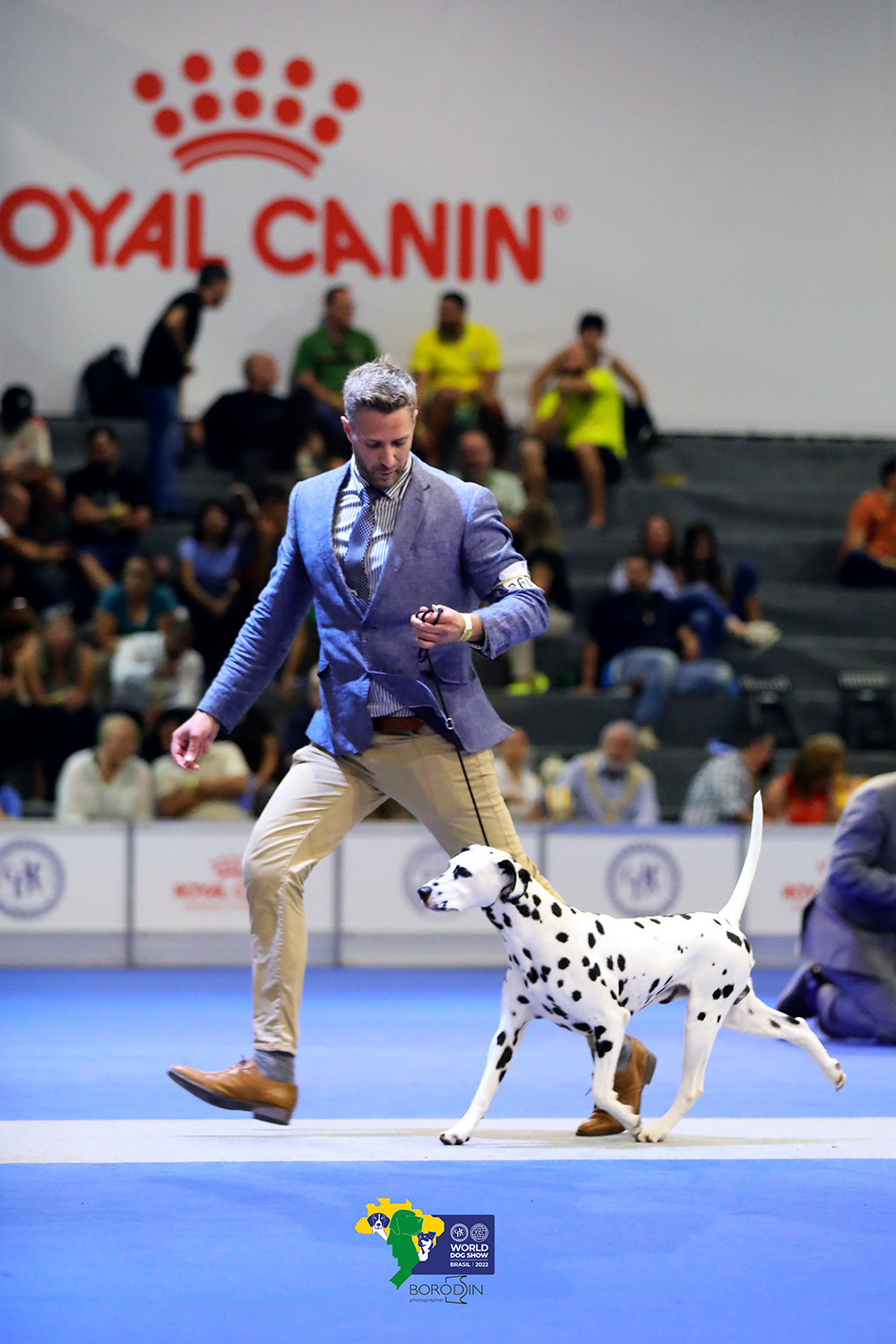 08-11.12.2022 WDS Brazil. Ph Dmitrii Borodin