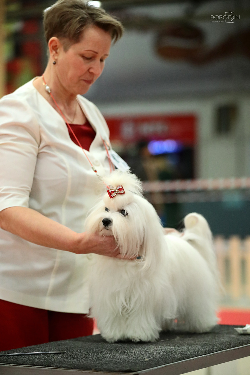 Отзывы. Фотограф Дмитрий Бородин