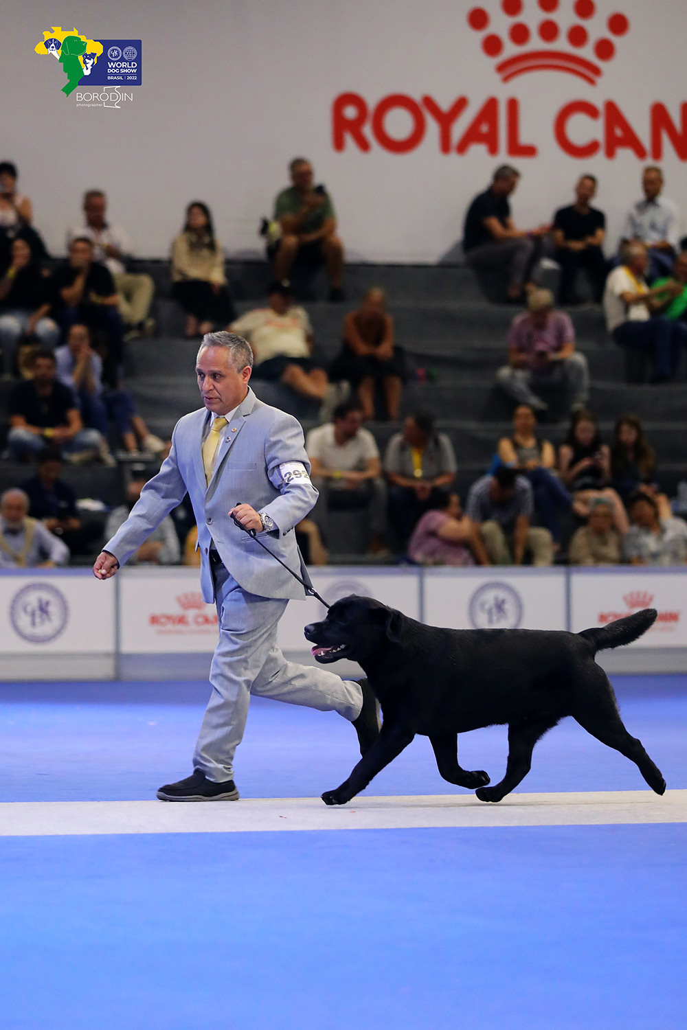 08-11.12.2022 WDS Brazil. Ph Dmitrii Borodin