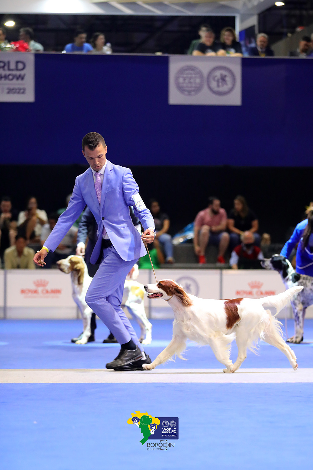 08-11.12.2022 WDS Brazil. Ph Dmitrii Borodin