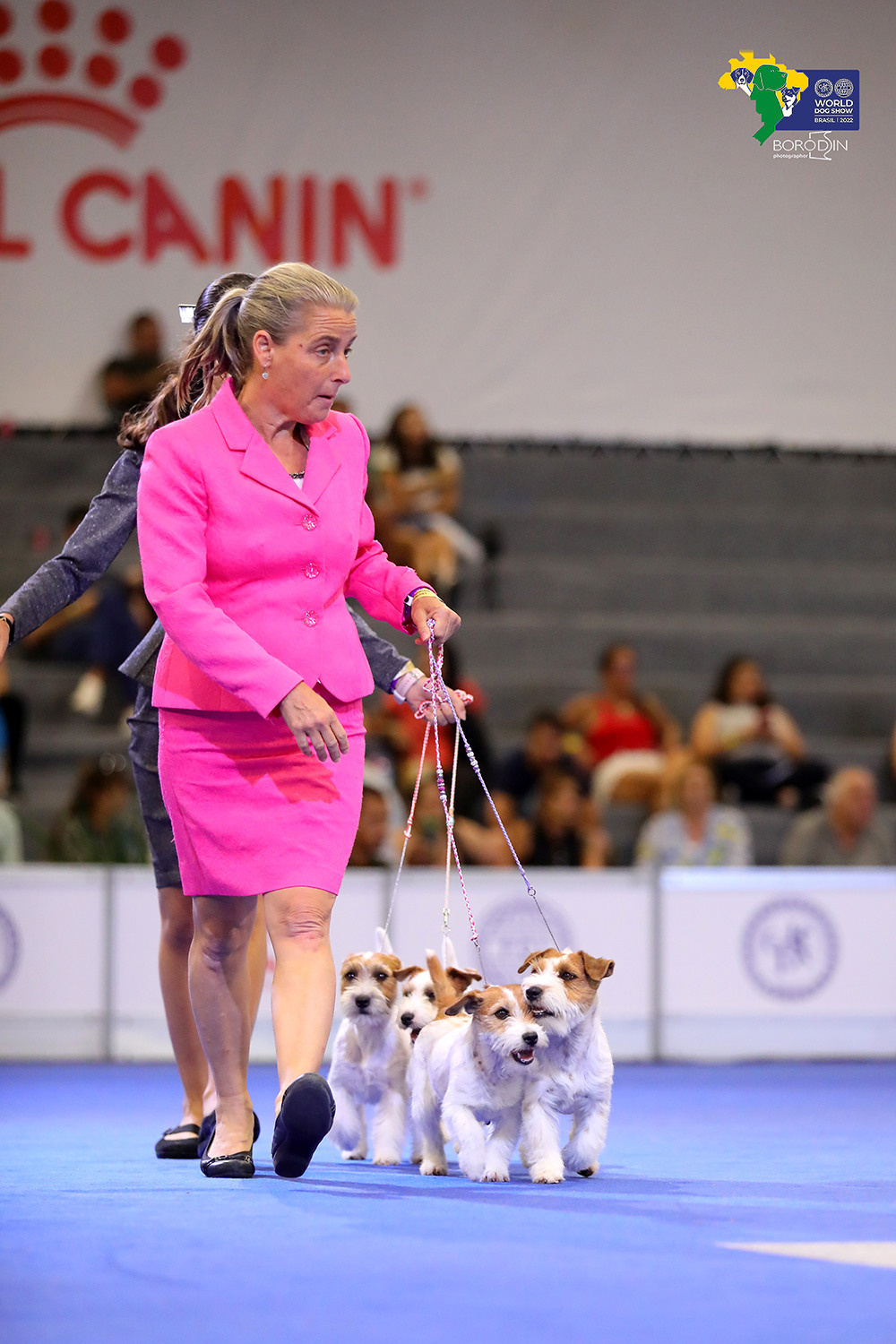 08-11.12.2022 WDS Brazil. Ph Dmitrii Borodin