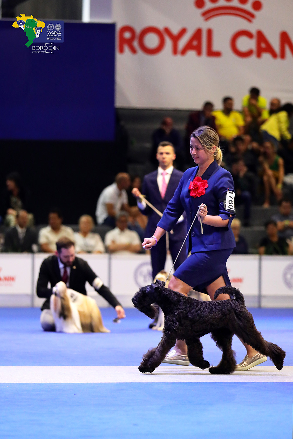 08-11.12.2022 WDS Brazil. Ph Dmitrii Borodin