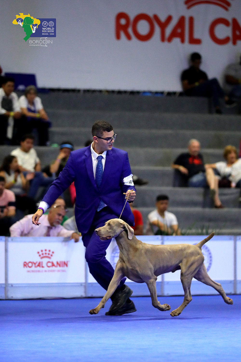 08-11.12.2022 WDS Brazil. Ph Dmitrii Borodin