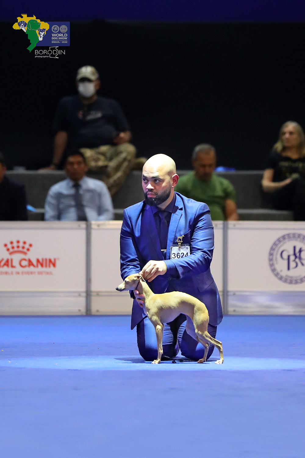 08-11.12.2022 WDS Brazil. Ph Dmitrii Borodin