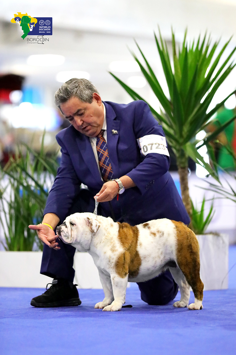 08-11.12.2022 WDS Brazil. Ph Dmitrii Borodin