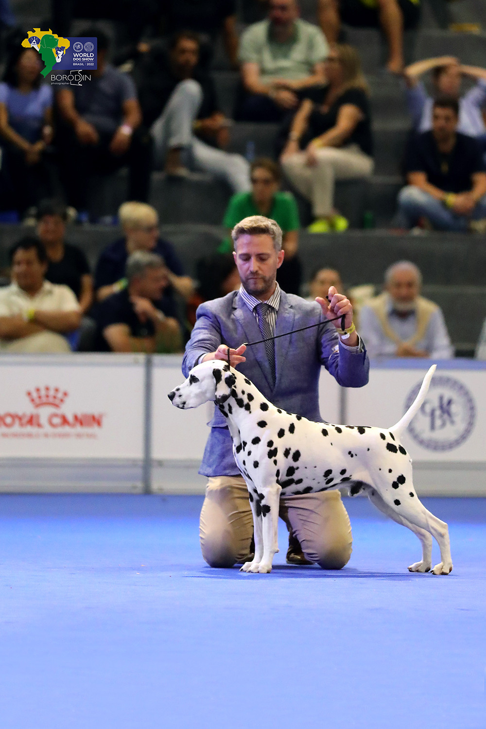 08-11.12.2022 WDS Brazil. Ph Dmitrii Borodin