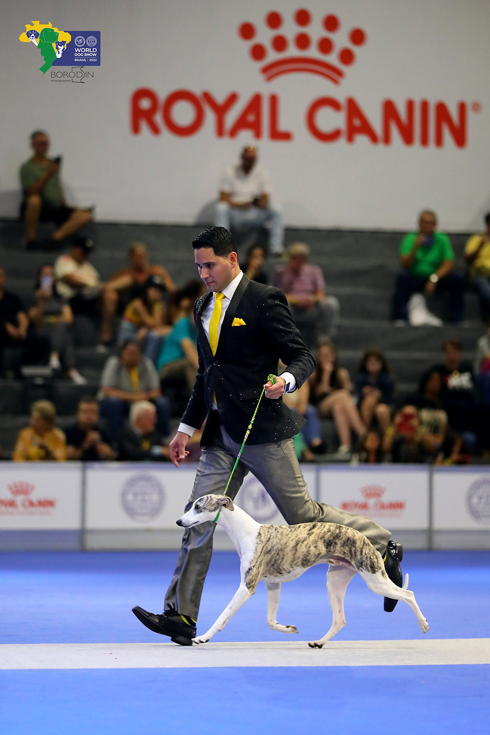 08-11.12.2022 WDS Brazil. Ph Dmitrii Borodin