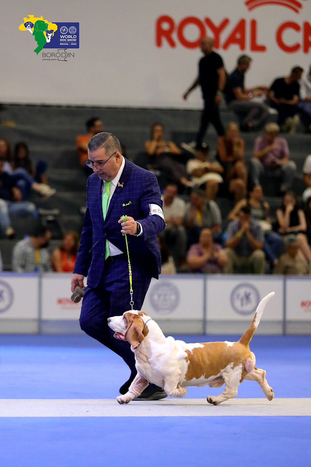 08-11.12.2022 WDS Brazil. Ph Dmitrii Borodin