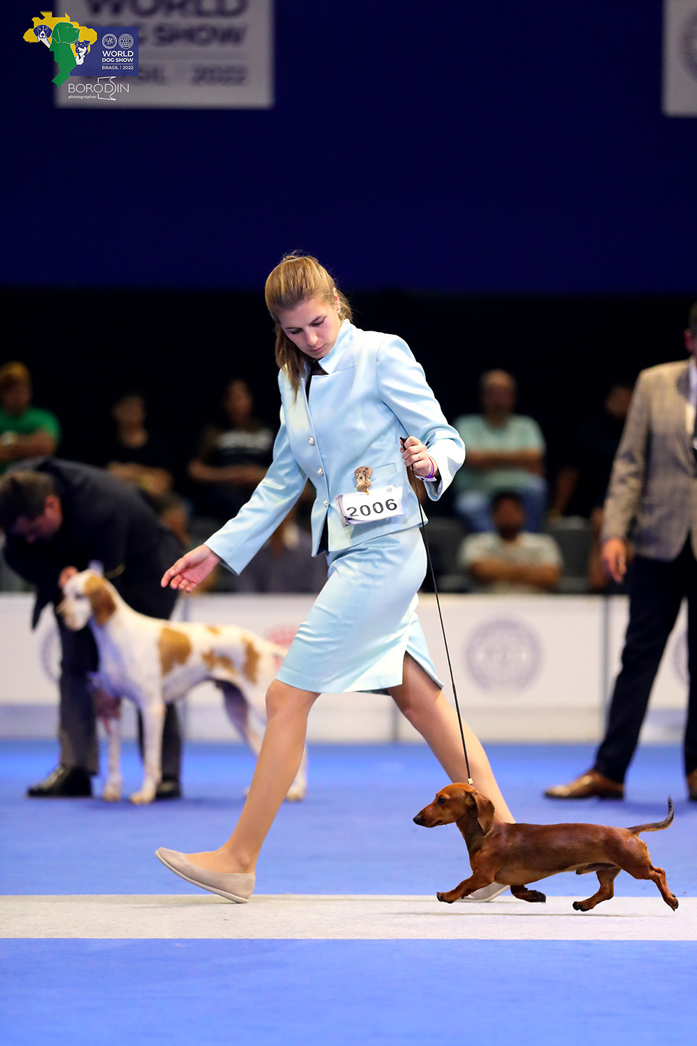 08-11.12.2022 WDS Brazil. Ph Dmitrii Borodin