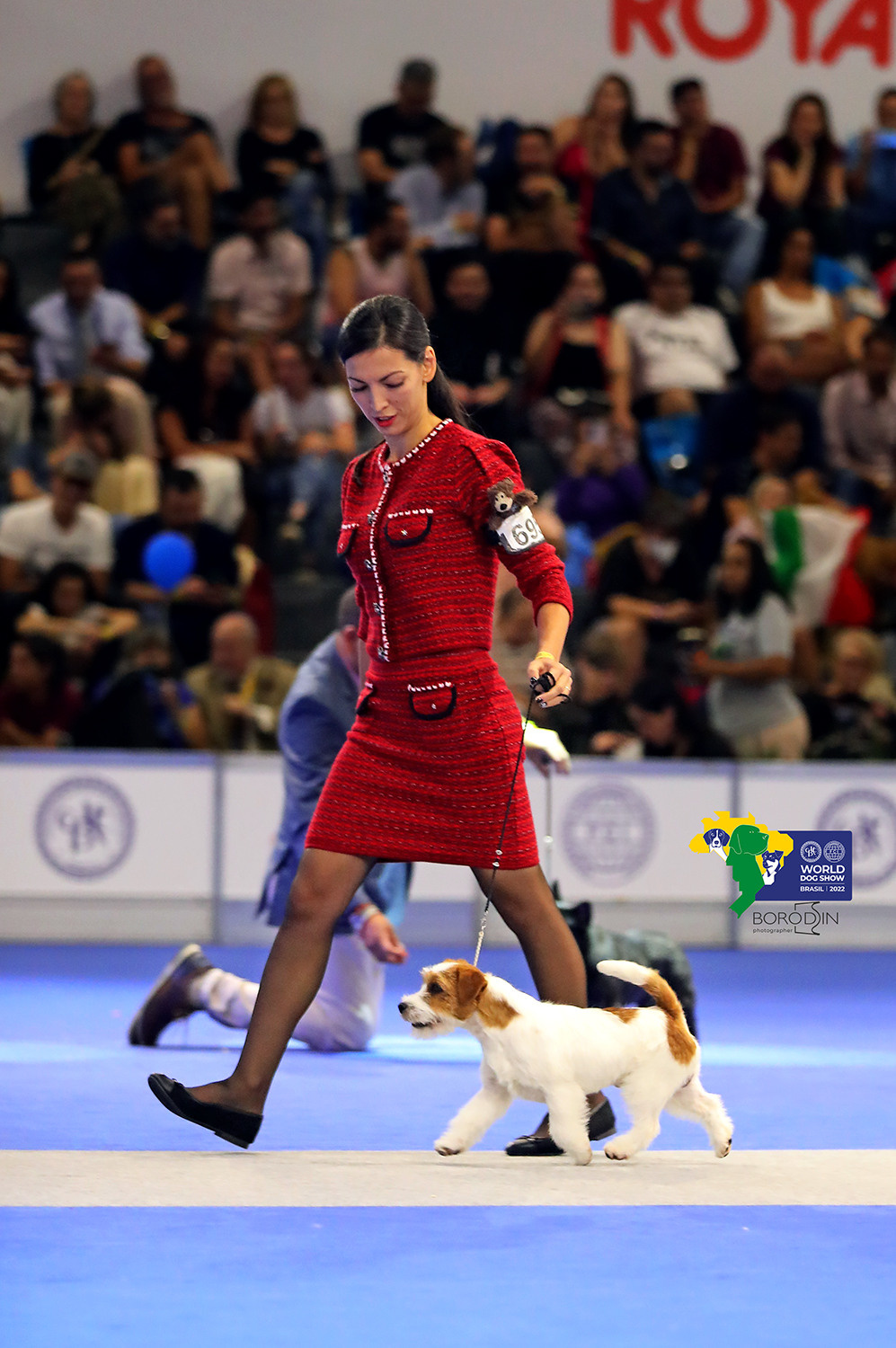 08-11.12.2022 WDS Brazil. Ph Dmitrii Borodin