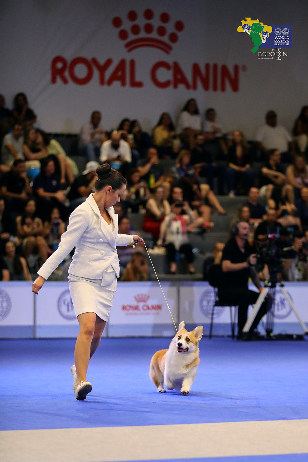 08-11.12.2022 WDS Brazil. Ph Dmitrii Borodin