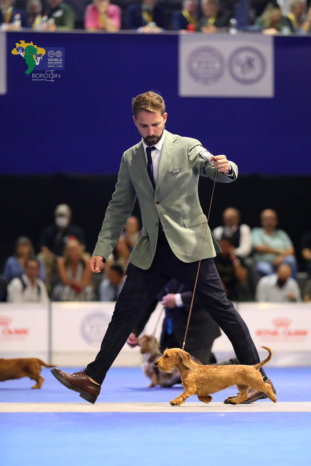 08-11.12.2022 WDS Brazil. Ph Dmitrii Borodin