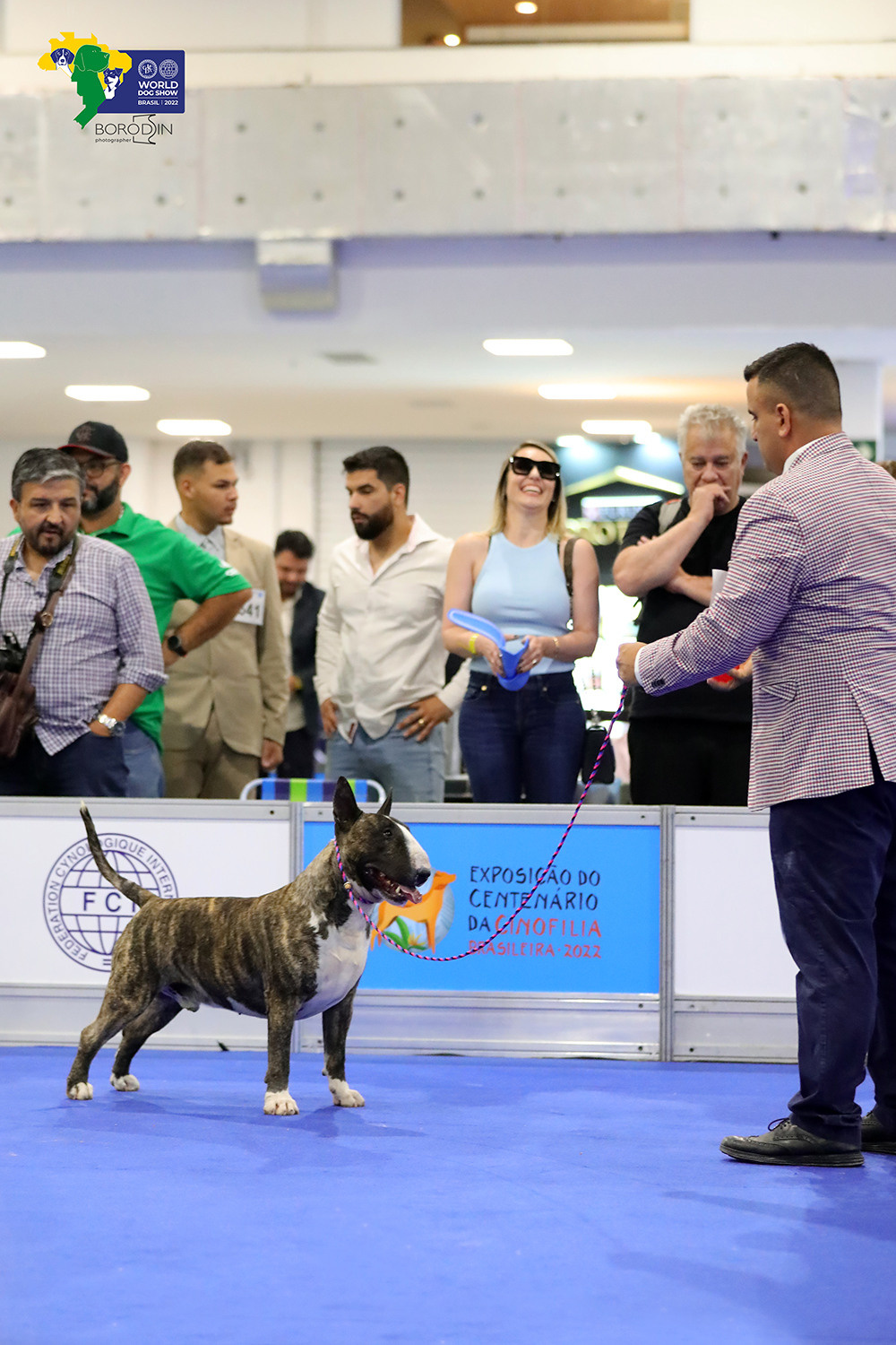 08-11.12.2022 WDS Brazil. Ph Dmitrii Borodin