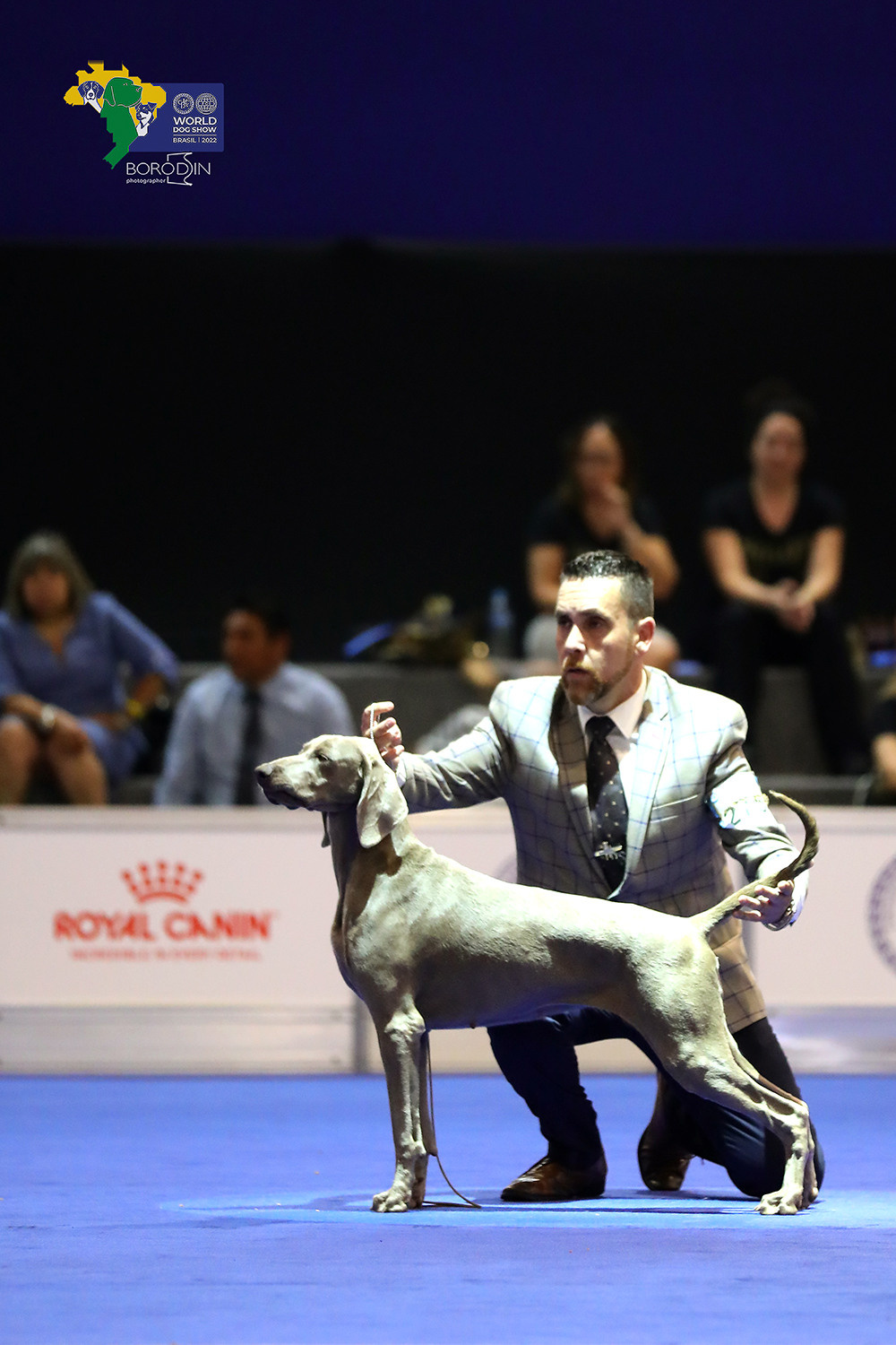 08-11.12.2022 WDS Brazil. Ph Dmitrii Borodin