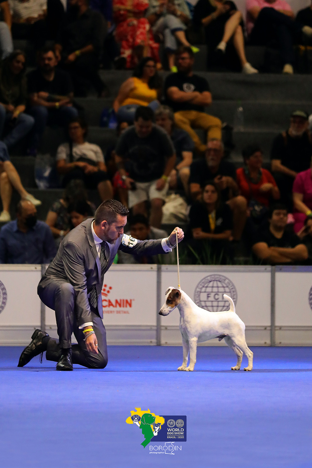 08-11.12.2022 WDS Brazil. Ph Dmitrii Borodin