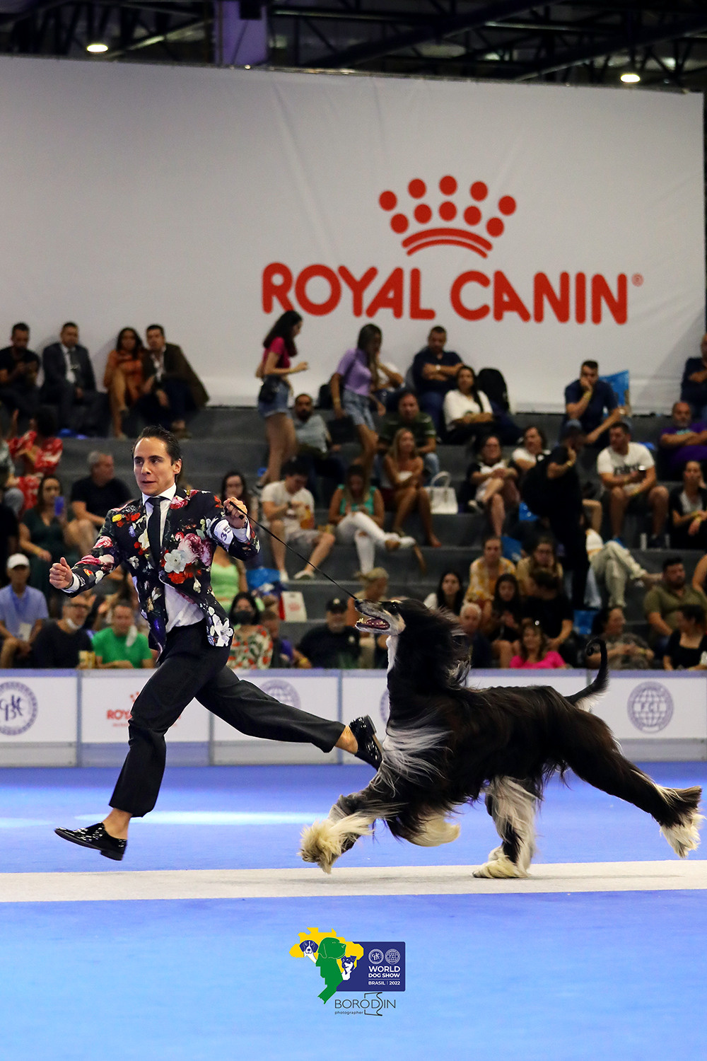 08-11.12.2022 WDS Brazil. Ph Dmitrii Borodin