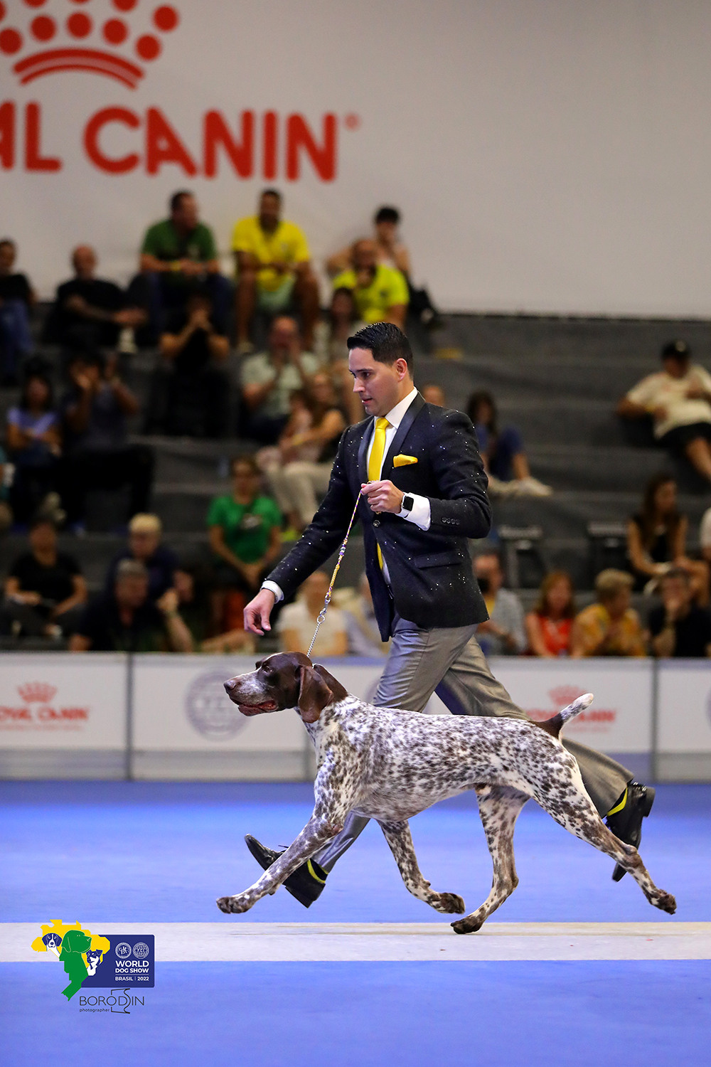 08-11.12.2022 WDS Brazil. Ph Dmitrii Borodin