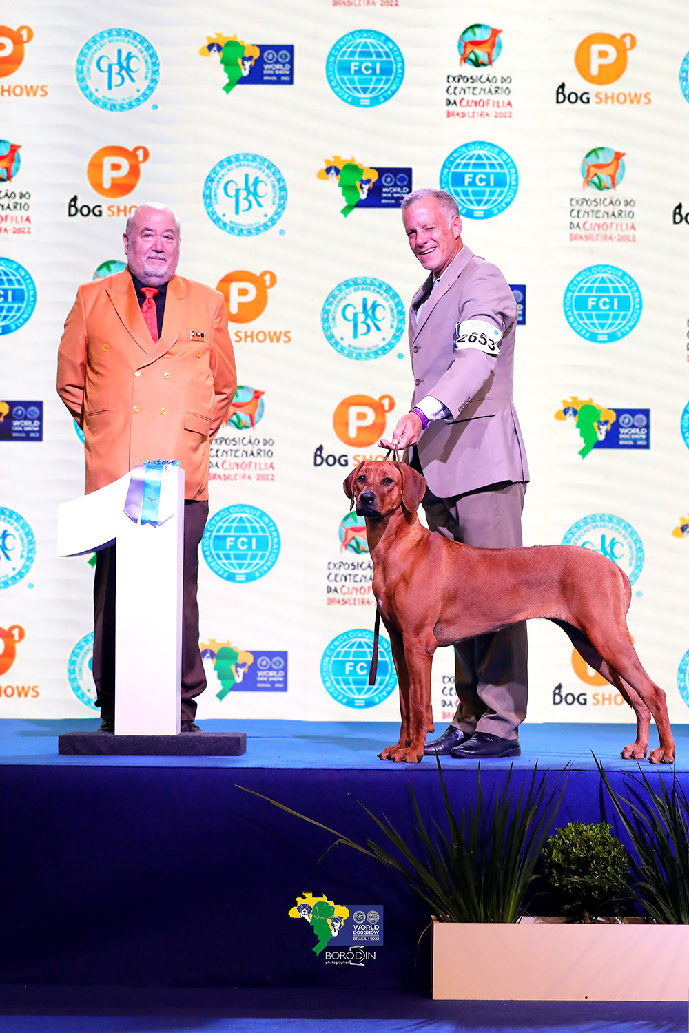 08-11.12.2022 WDS Brazil. Ph Dmitrii Borodin