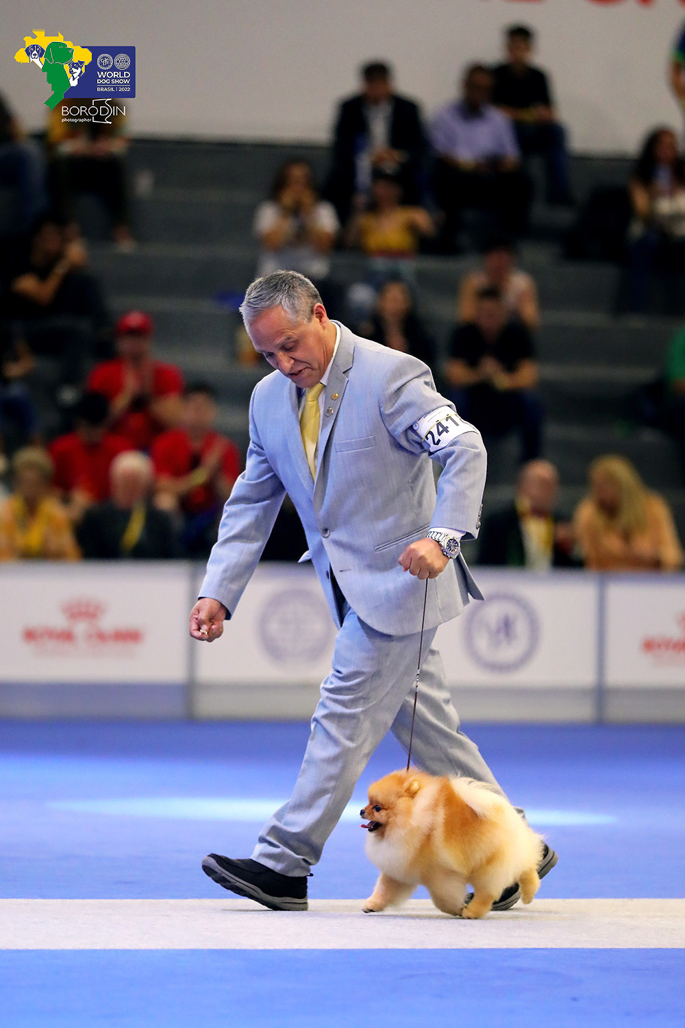 08-11.12.2022 WDS Brazil. Ph Dmitrii Borodin