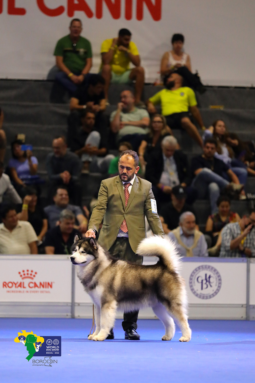 08-11.12.2022 WDS Brazil. Ph Dmitrii Borodin