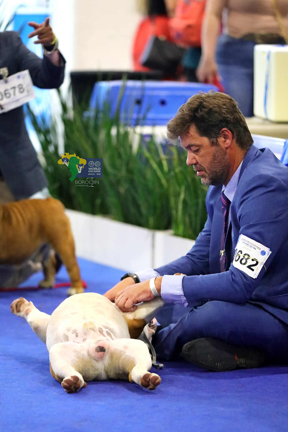 08-11.12.2022 WDS Brazil. Ph Dmitrii Borodin