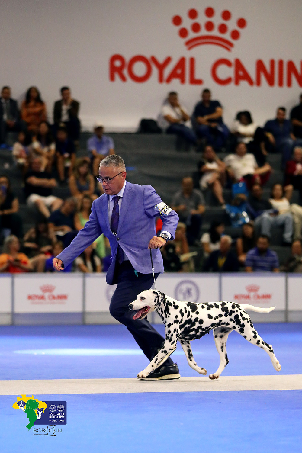 08-11.12.2022 WDS Brazil. Ph Dmitrii Borodin