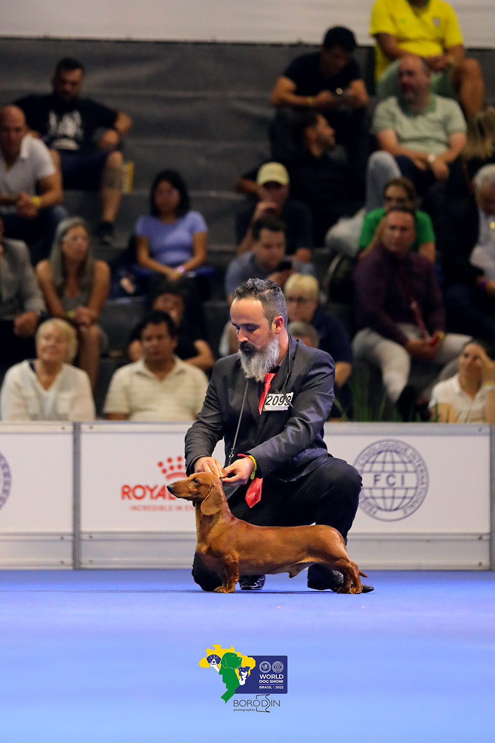 08-11.12.2022 WDS Brazil. Ph Dmitrii Borodin