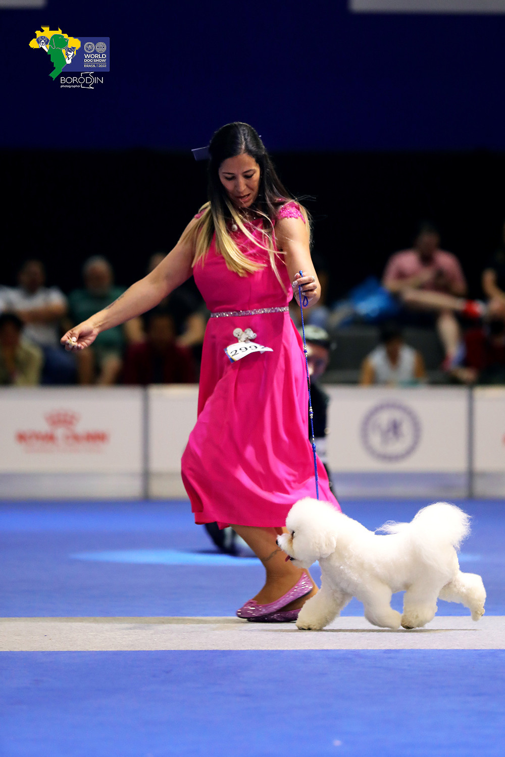 08-11.12.2022 WDS Brazil. Ph Dmitrii Borodin