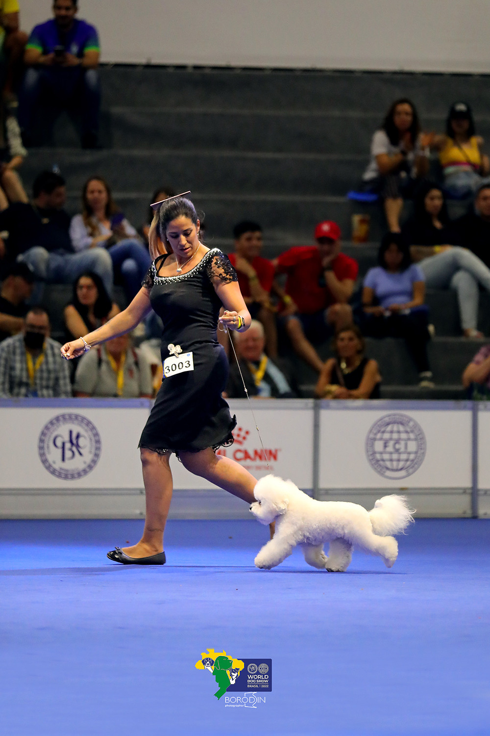 08-11.12.2022 WDS Brazil. Ph Dmitrii Borodin