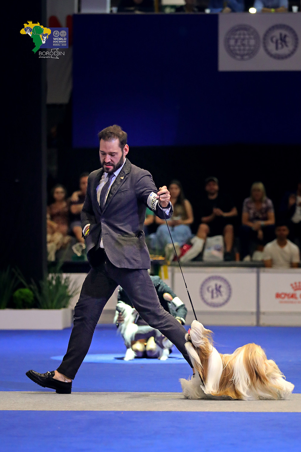 08-11.12.2022 WDS Brazil. Ph Dmitrii Borodin