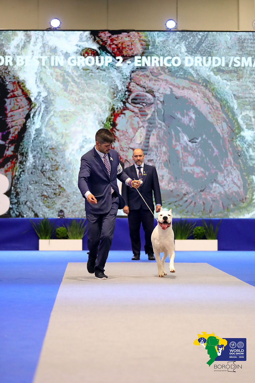 08-11.12.2022 WDS Brazil. Ph Dmitrii Borodin