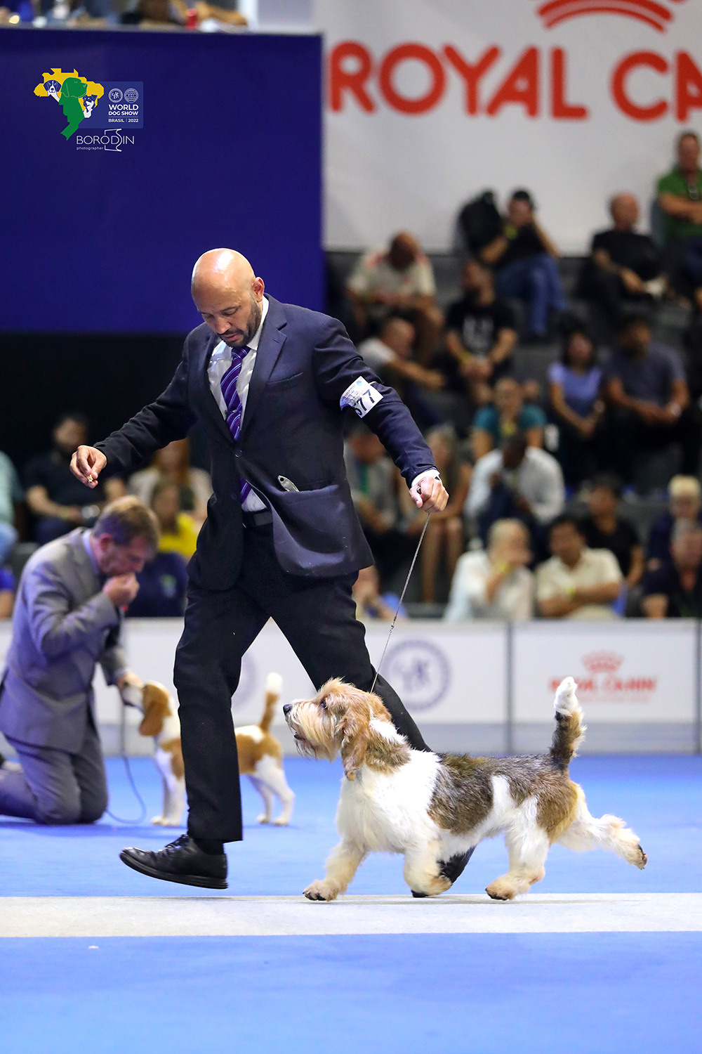 08-11.12.2022 WDS Brazil. Ph Dmitrii Borodin