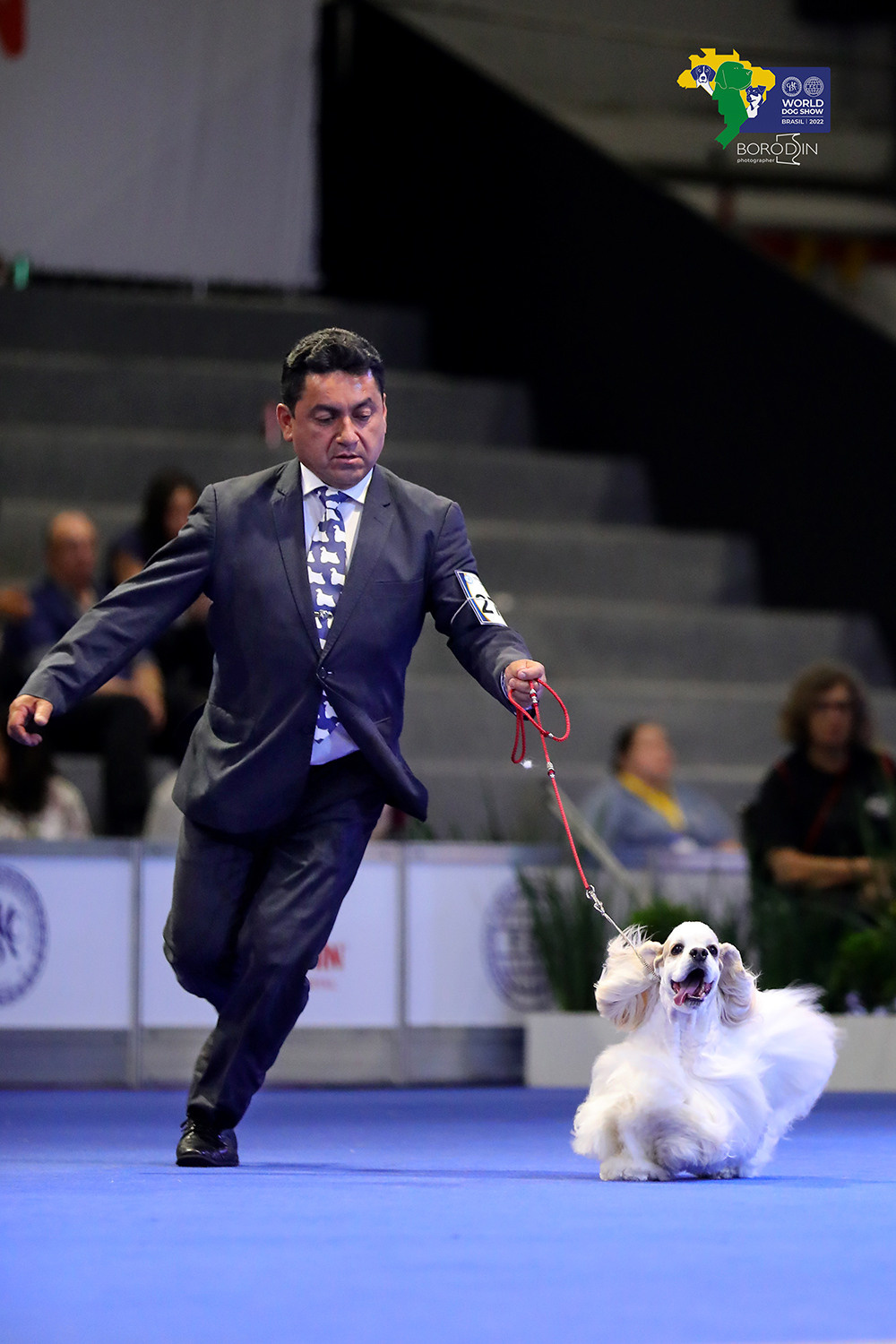 08-11.12.2022 WDS Brazil. Ph Dmitrii Borodin