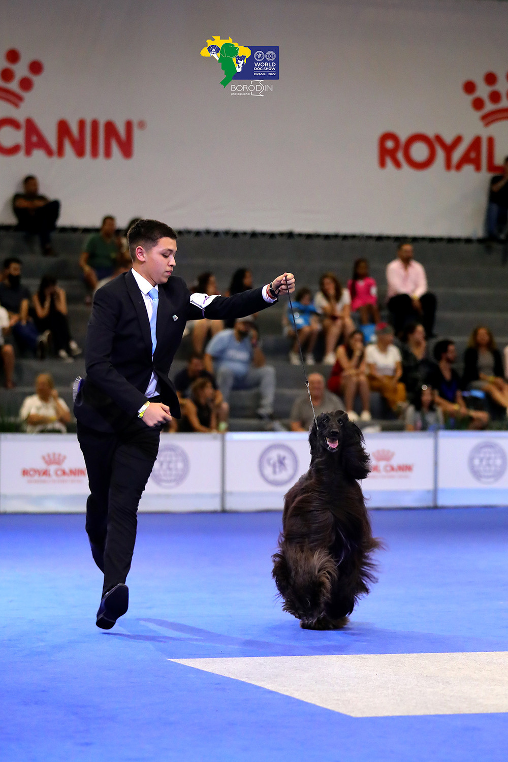 08-11.12.2022 WDS Brazil. Ph Dmitrii Borodin