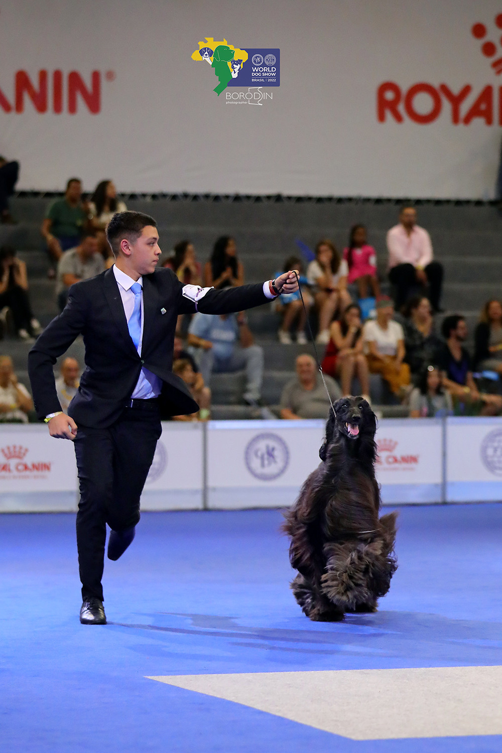 08-11.12.2022 WDS Brazil. Ph Dmitrii Borodin