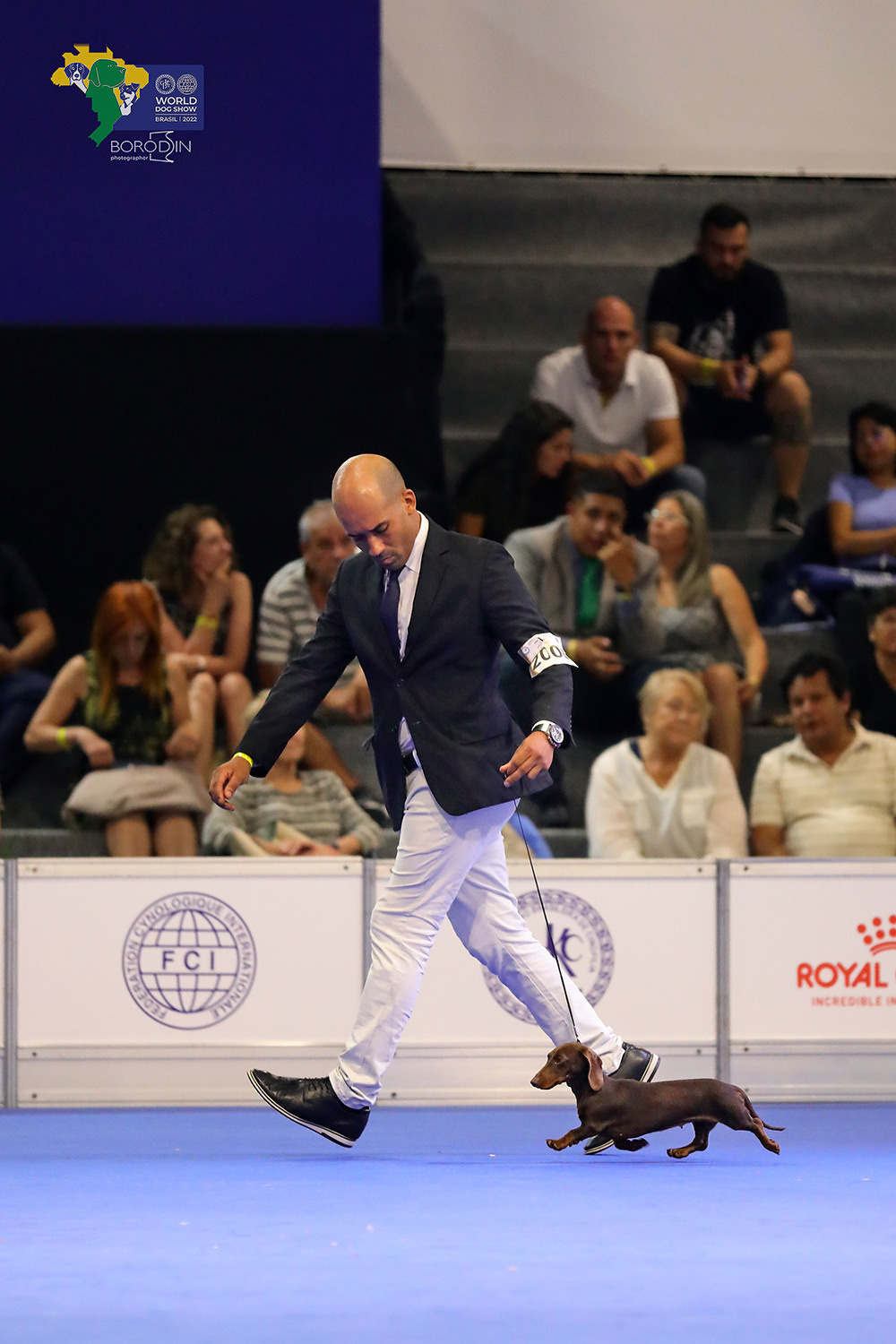 08-11.12.2022 WDS Brazil. Ph Dmitrii Borodin