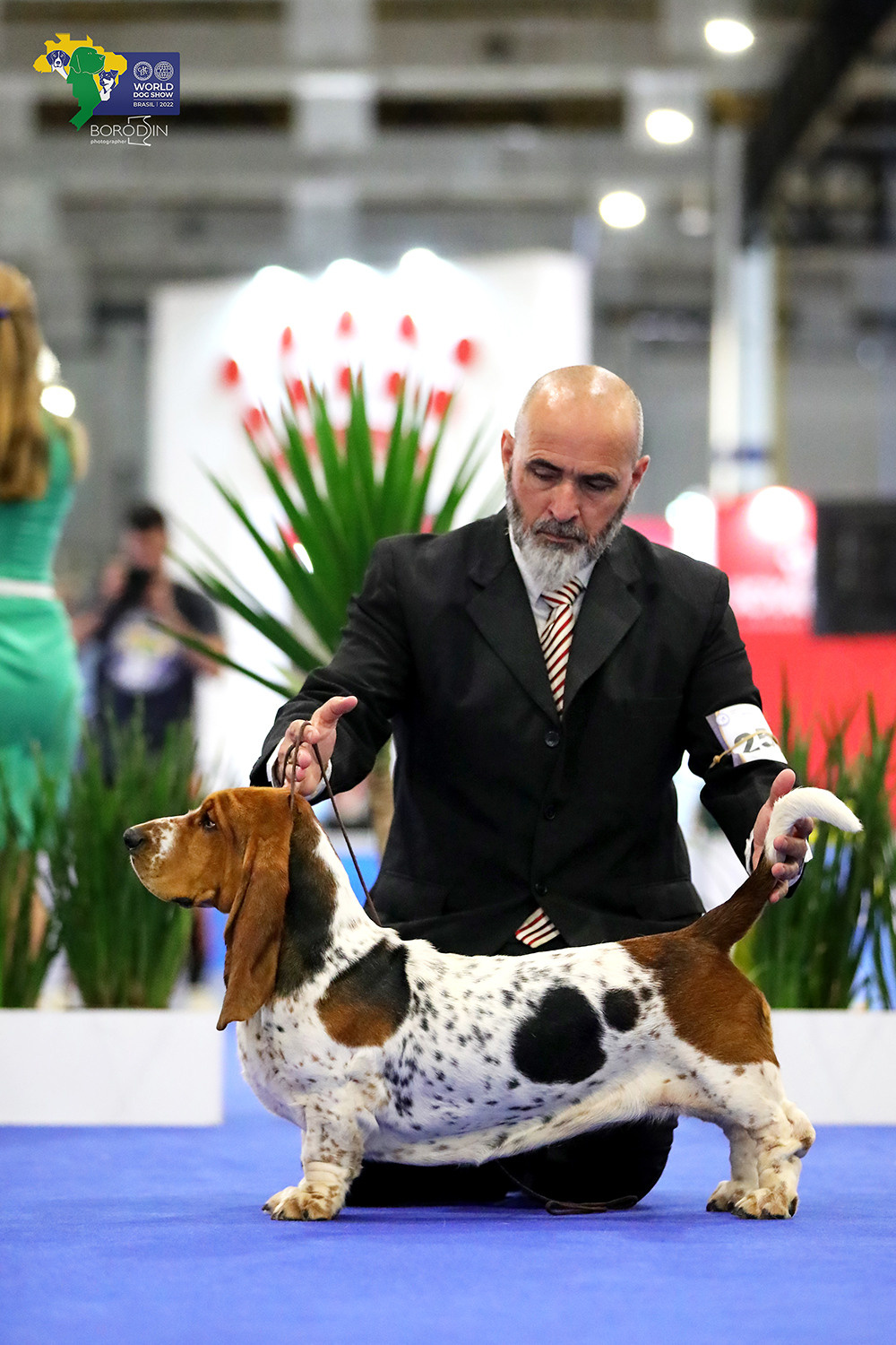 08-11.12.2022 WDS Brazil. Ph Dmitrii Borodin