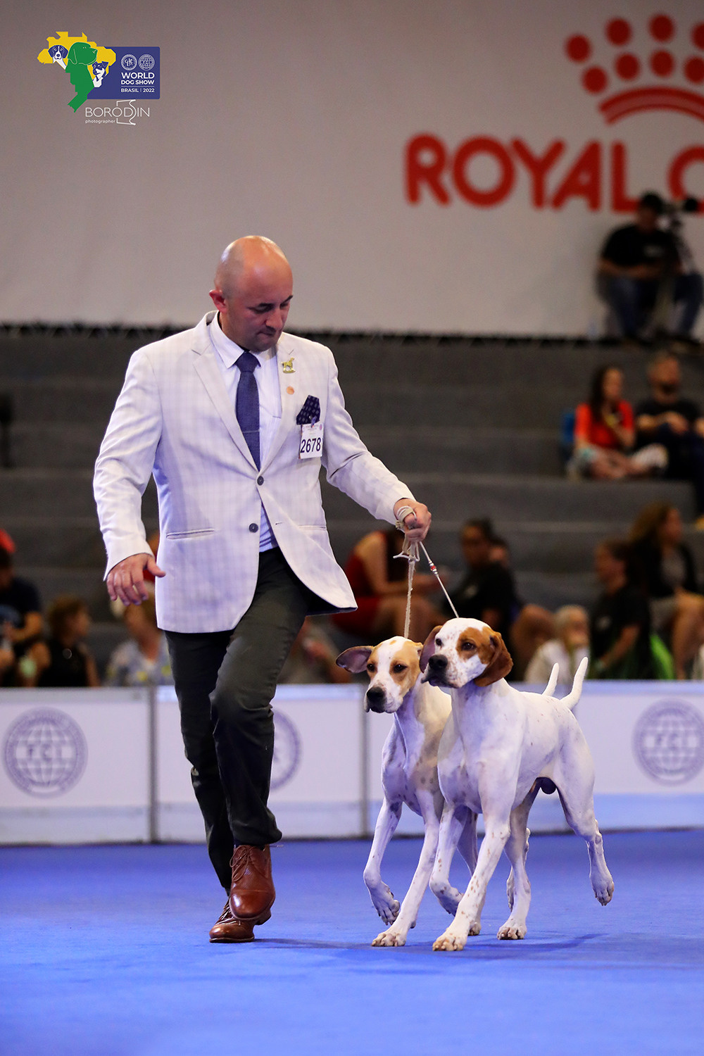 08-11.12.2022 WDS Brazil. Ph Dmitrii Borodin