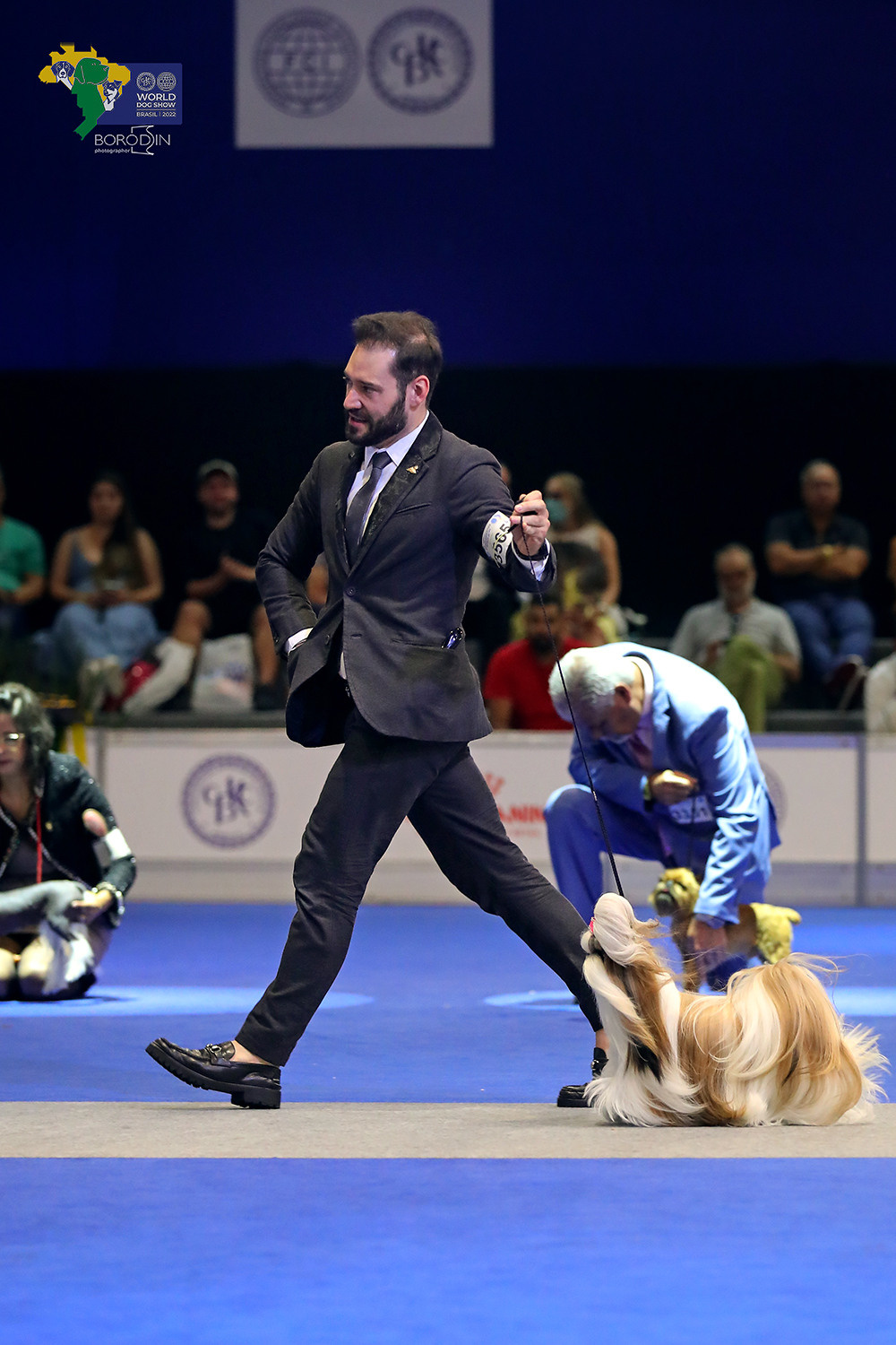 08-11.12.2022 WDS Brazil. Ph Dmitrii Borodin