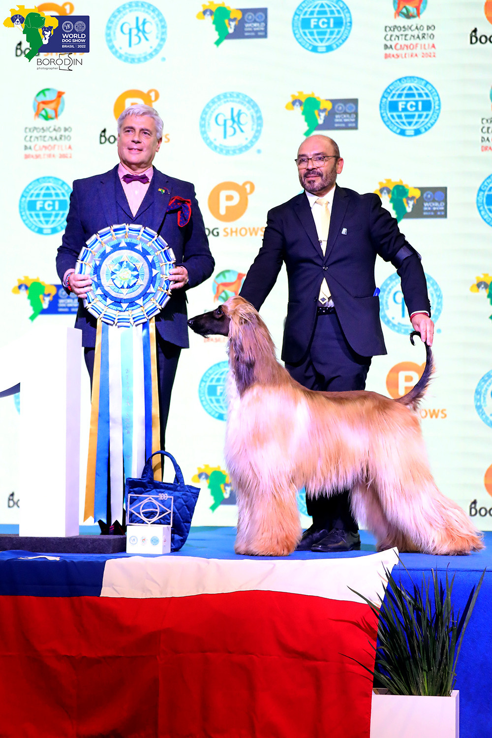 08-11.12.2022 WDS Brazil. Ph Dmitrii Borodin