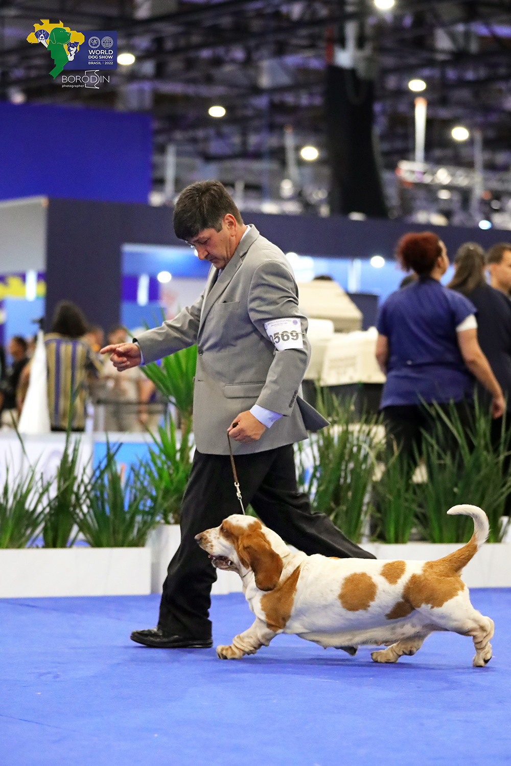 08-11.12.2022 WDS Brazil. Ph Dmitrii Borodin