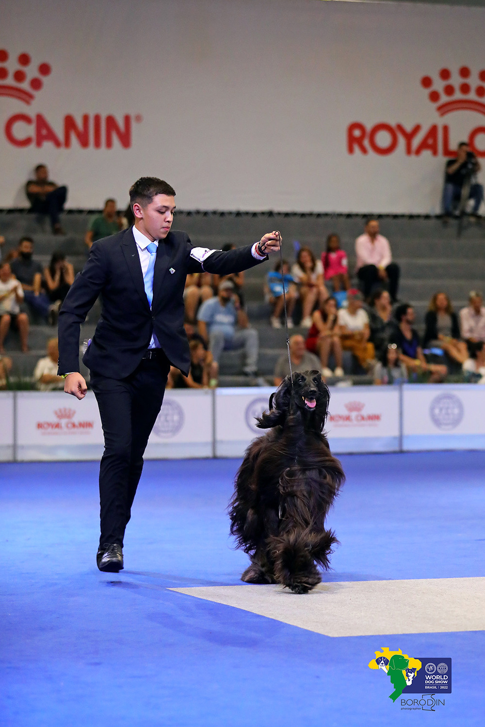 08-11.12.2022 WDS Brazil. Ph Dmitrii Borodin