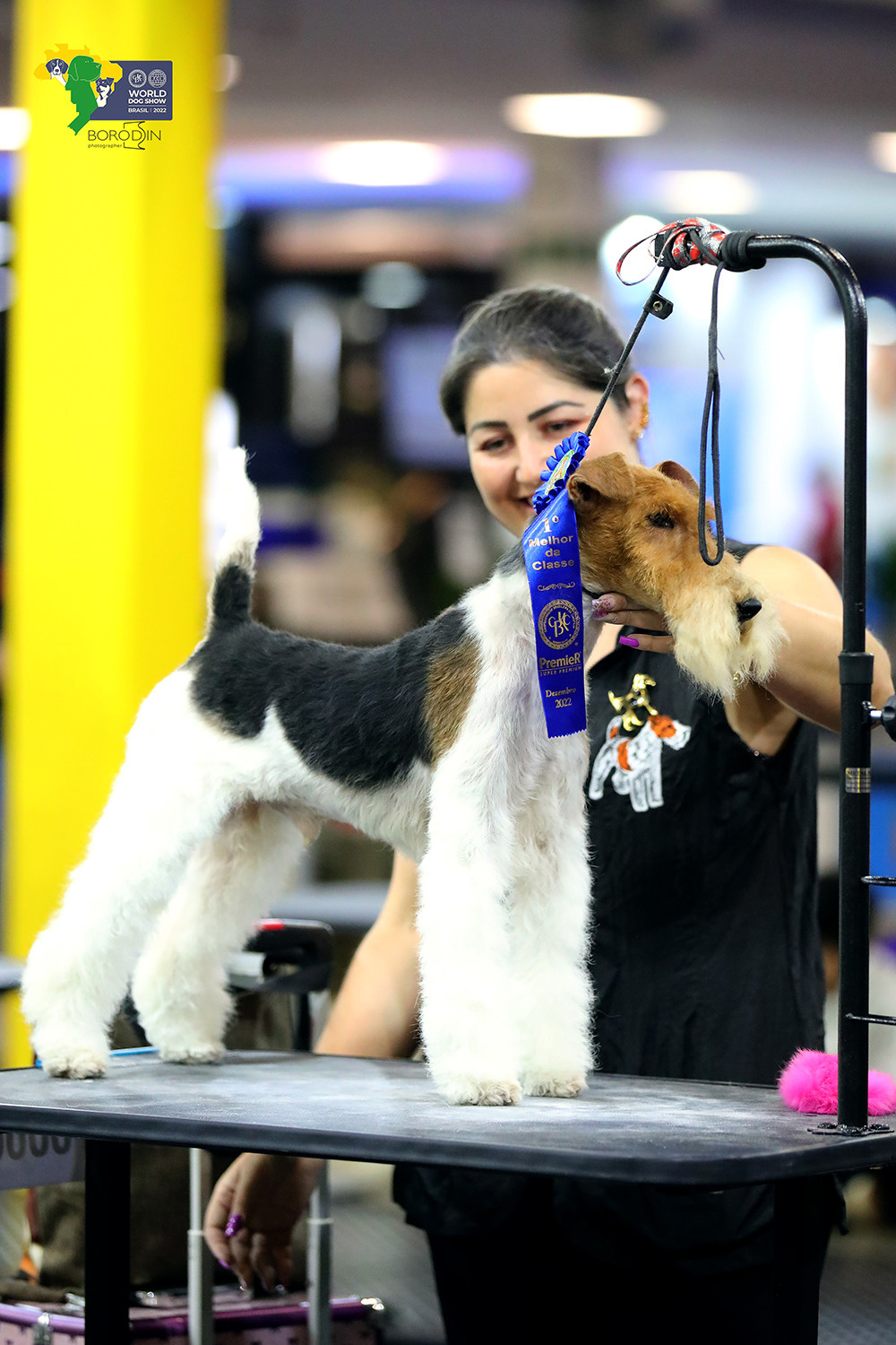 08-11.12.2022 WDS Brazil. Ph Dmitrii Borodin