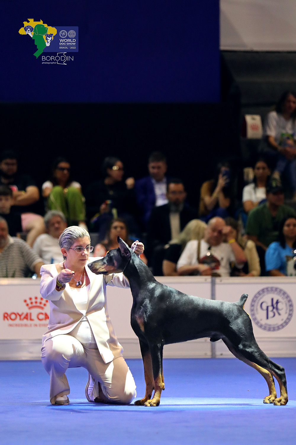 08-11.12.2022 WDS Brazil. Ph Dmitrii Borodin