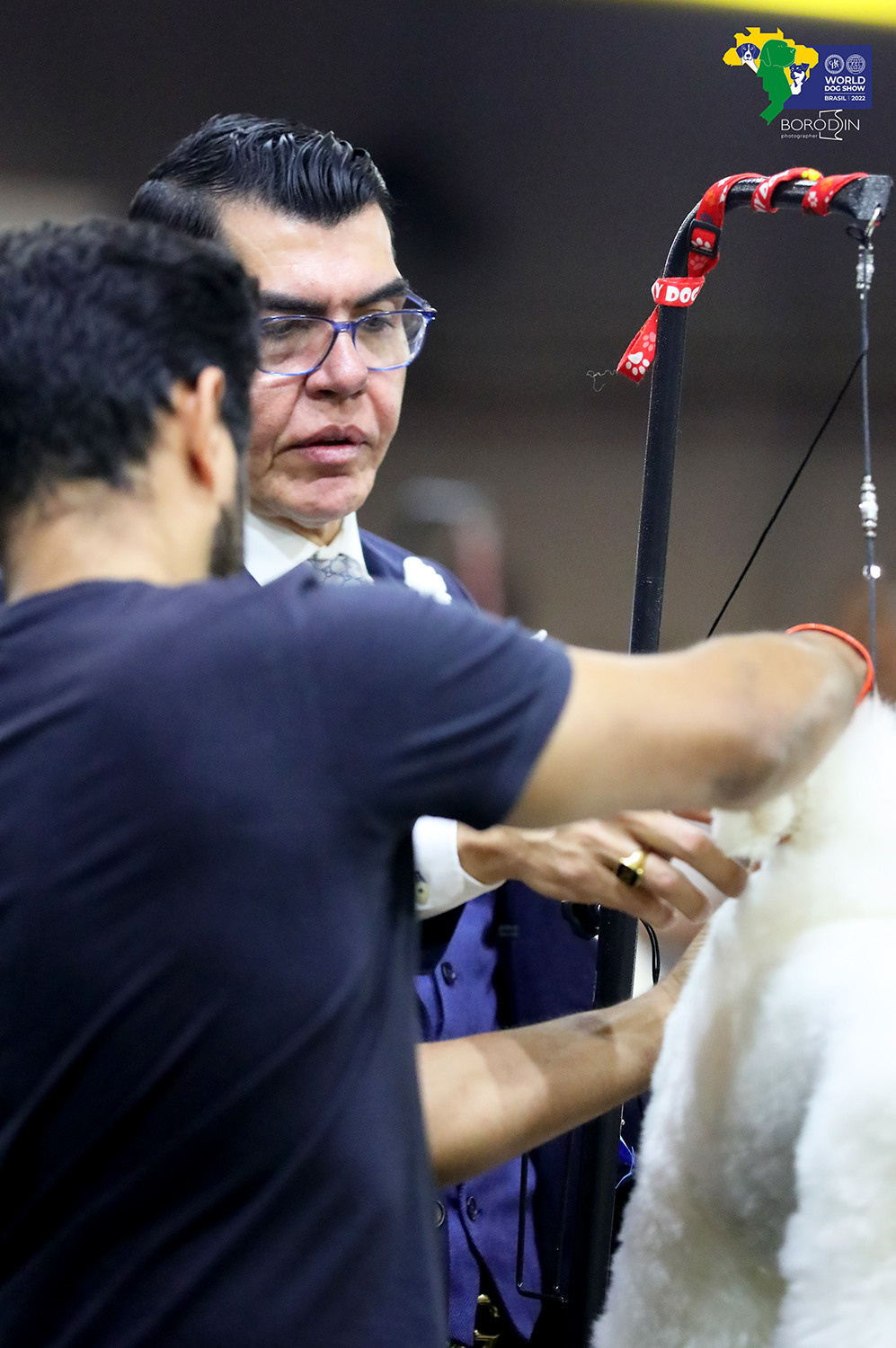 08-11.12.2022 WDS Brazil. Ph Dmitrii Borodin