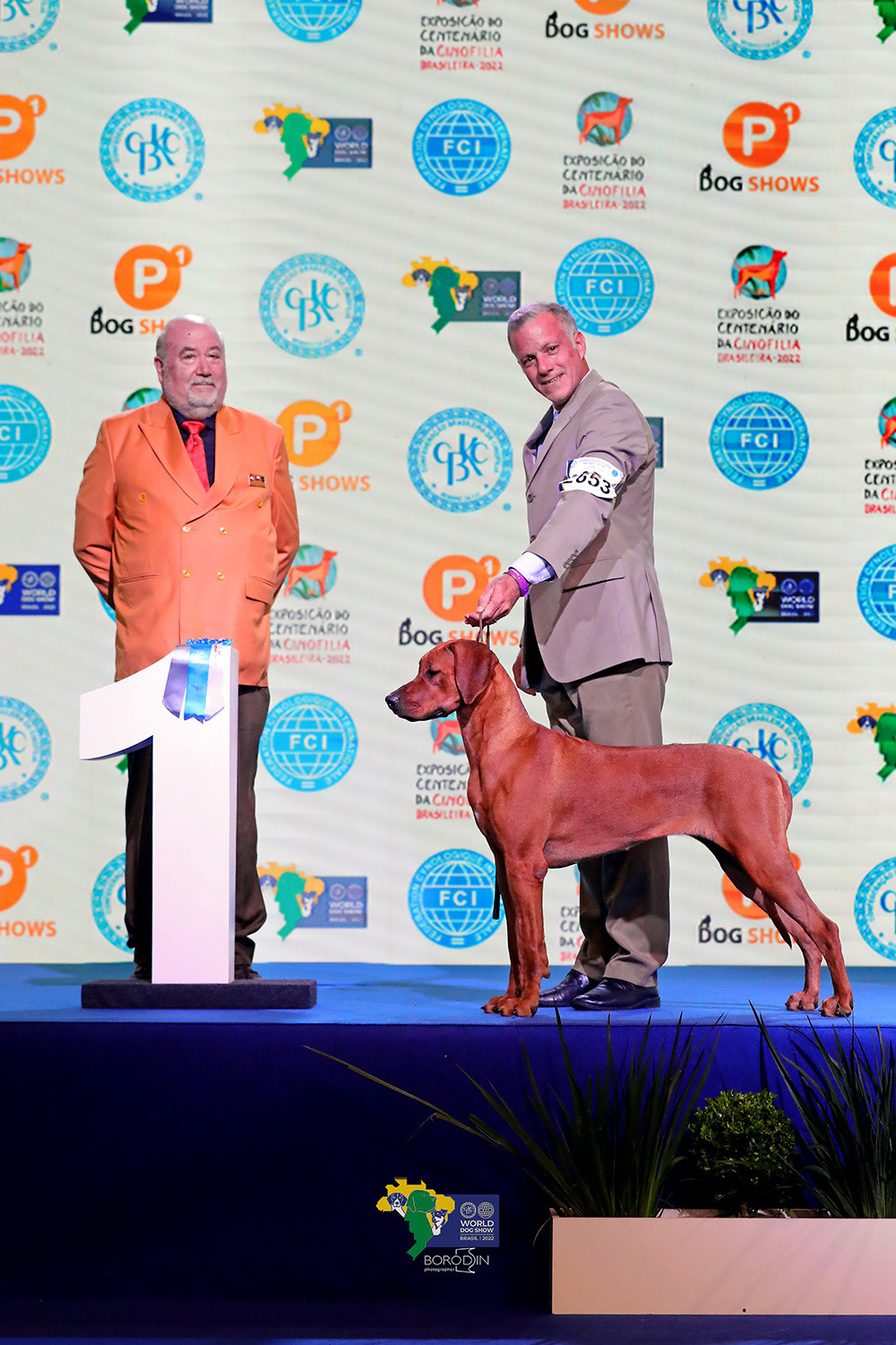 08-11.12.2022 WDS Brazil. Ph Dmitrii Borodin