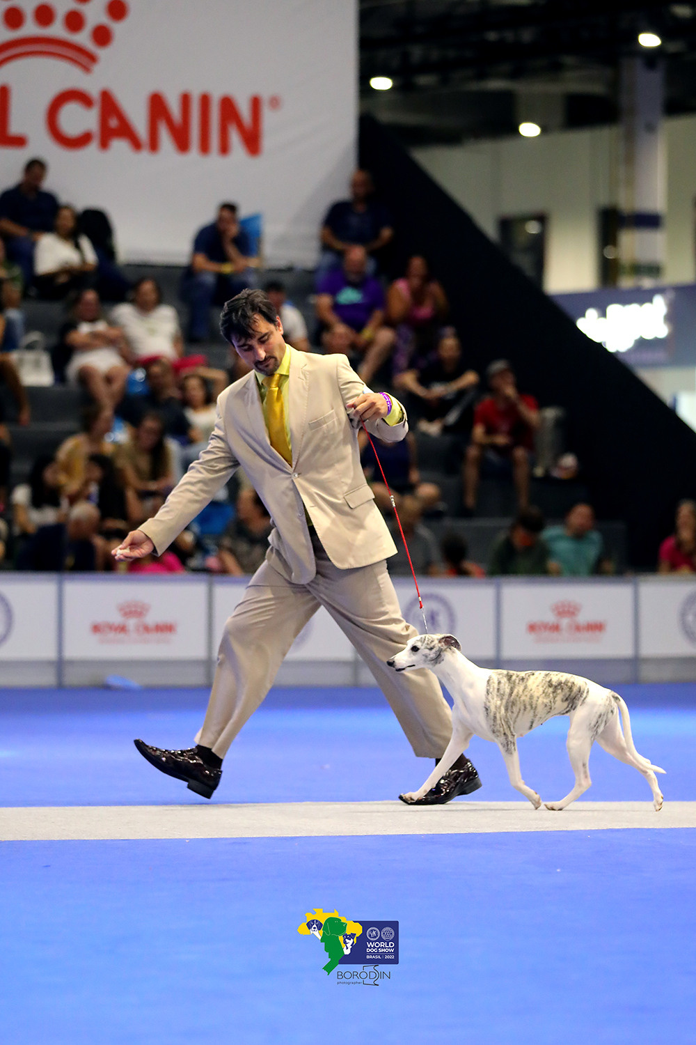 08-11.12.2022 WDS Brazil. Ph Dmitrii Borodin