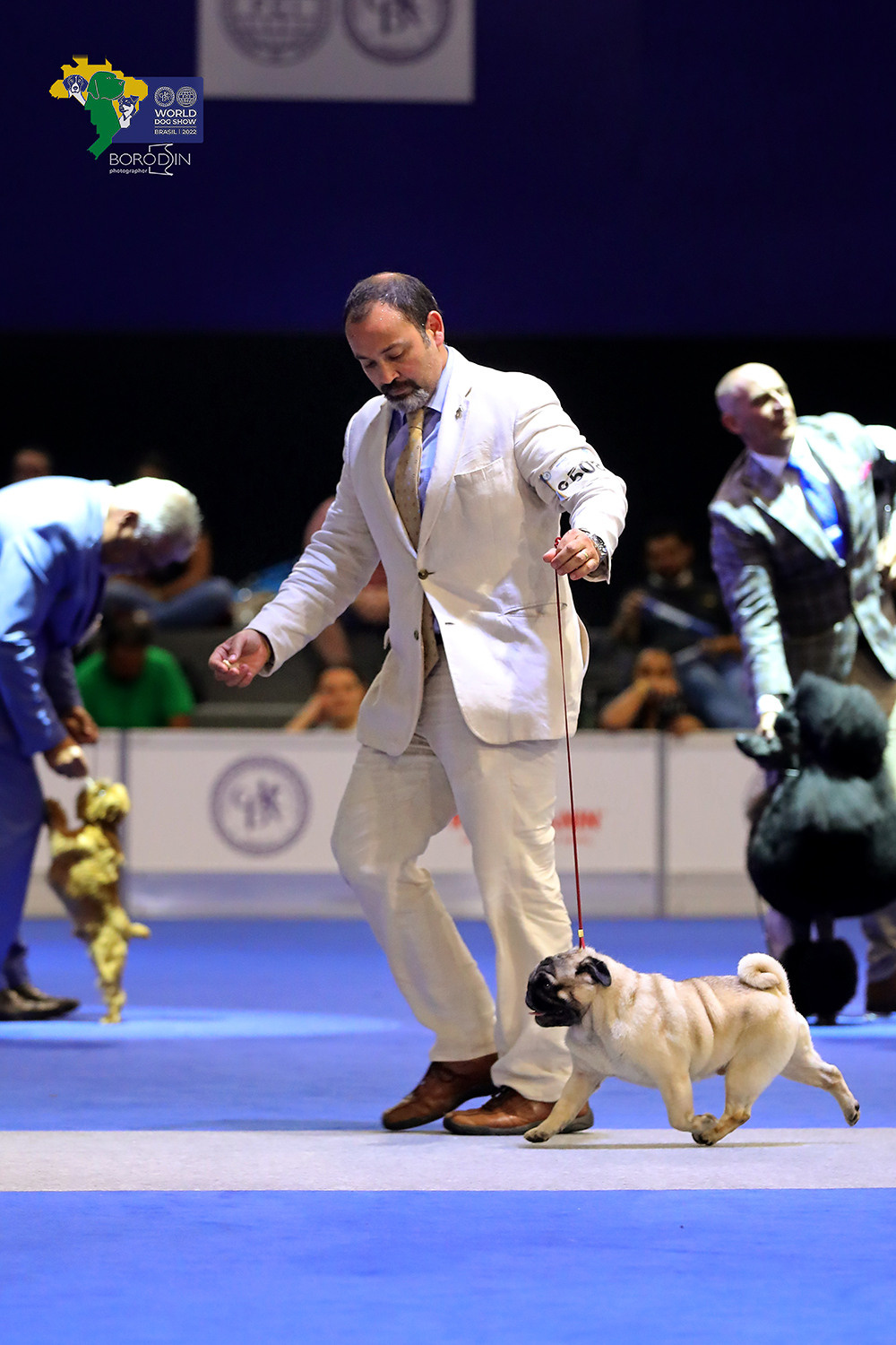 08-11.12.2022 WDS Brazil. Ph Dmitrii Borodin