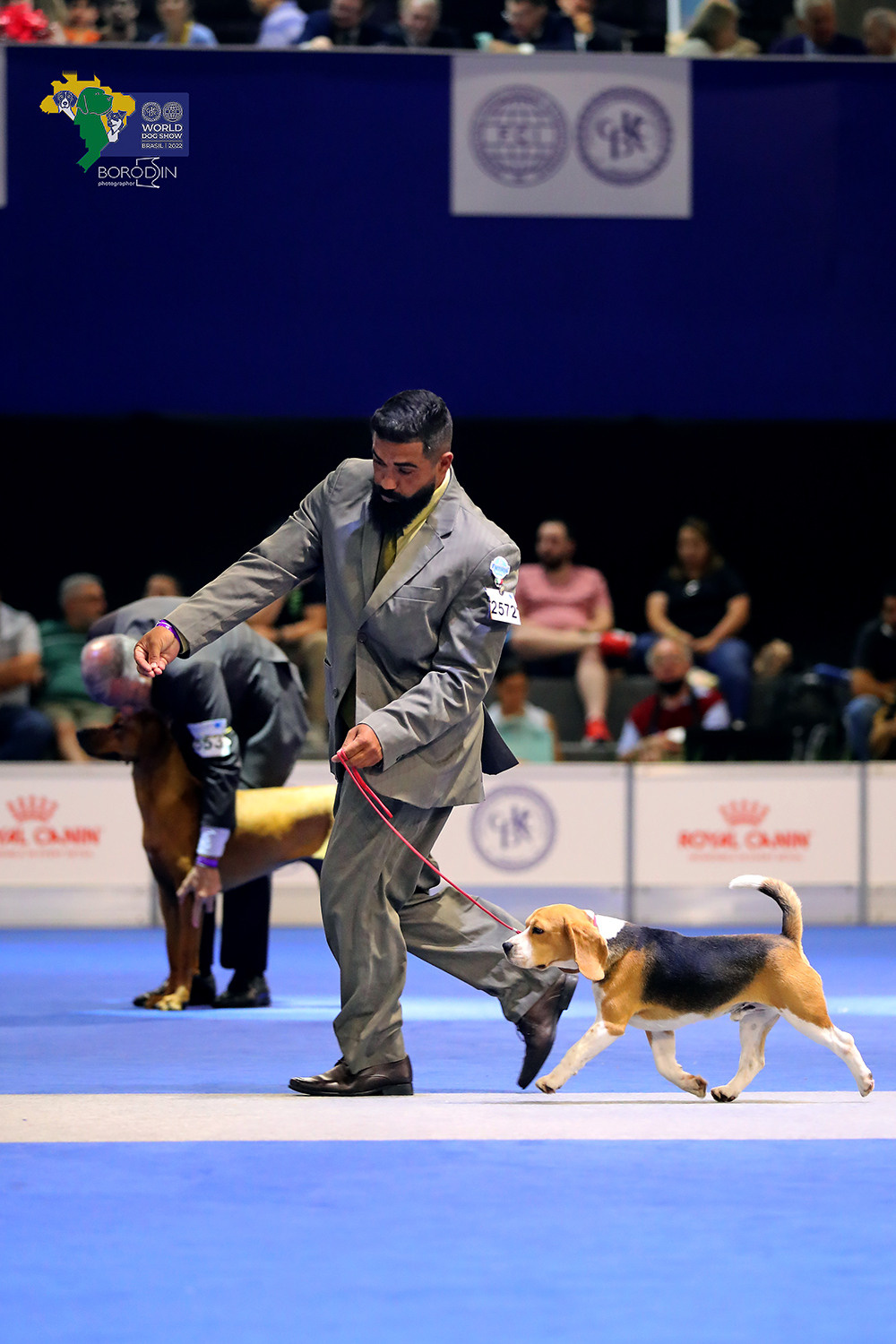 08-11.12.2022 WDS Brazil. Ph Dmitrii Borodin