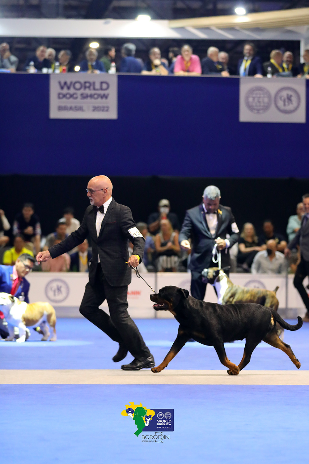 08-11.12.2022 WDS Brazil. Ph Dmitrii Borodin